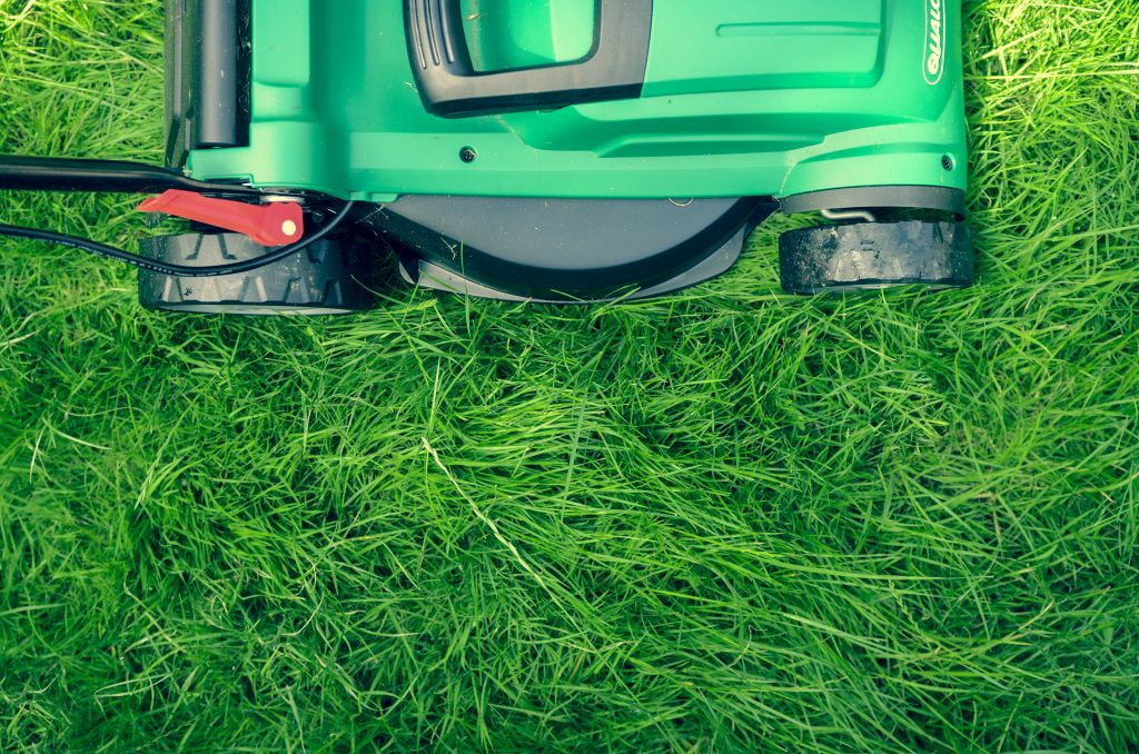 Image of push lawn mower on grass